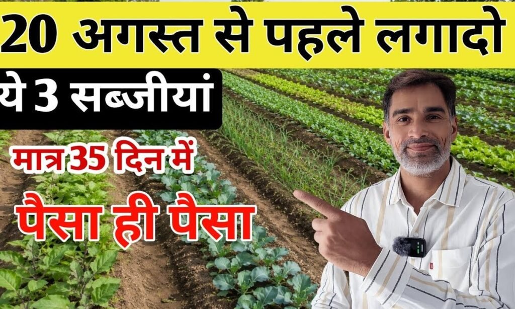 Plant These 3 Vegetables Before August 20th for Big