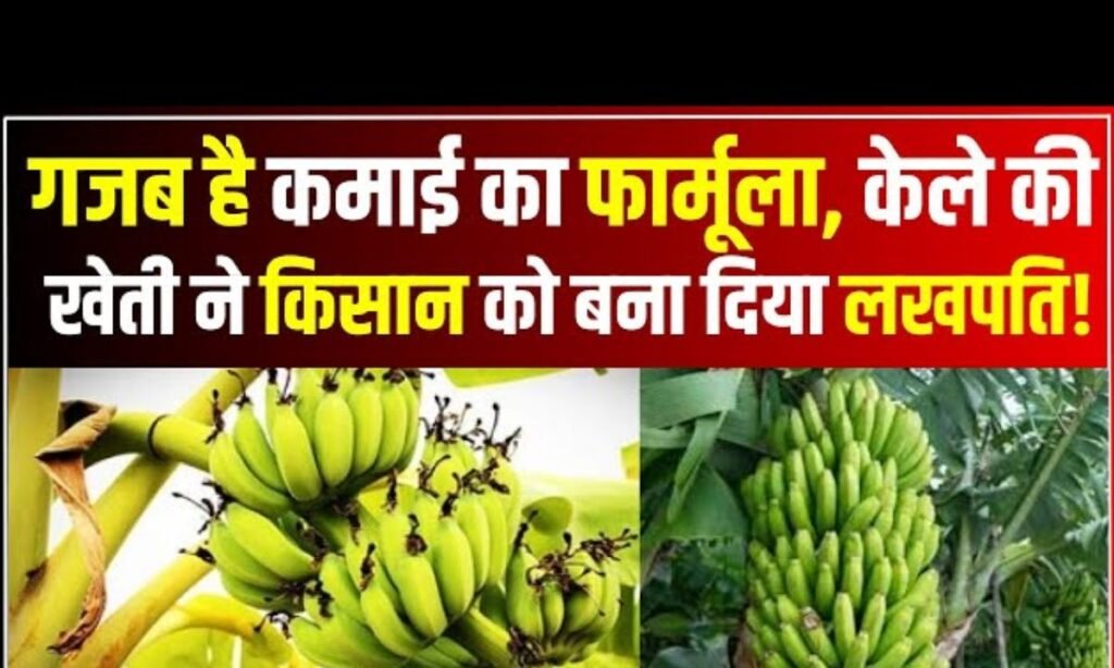 केले ने बदली इस गांव की किस्मत 😱 Banana Farming🍌| Export, PROFIT