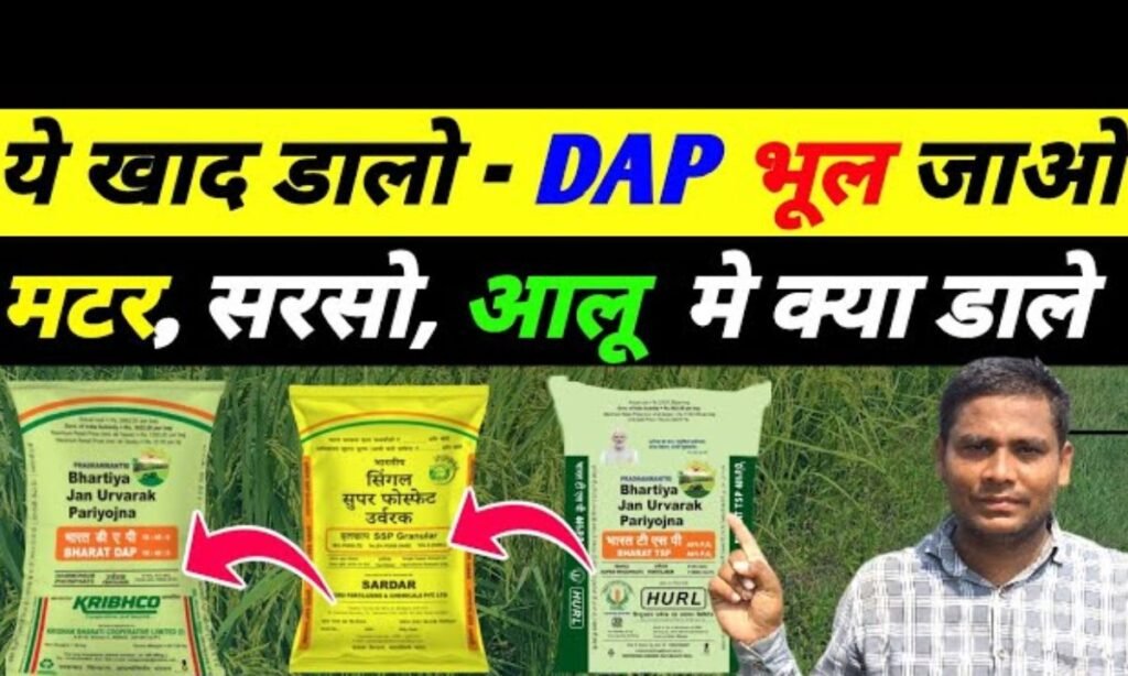DAP vs SSP vs TSP: किस फसल में कौन सी खाद डालें? | Best Fertilizer for