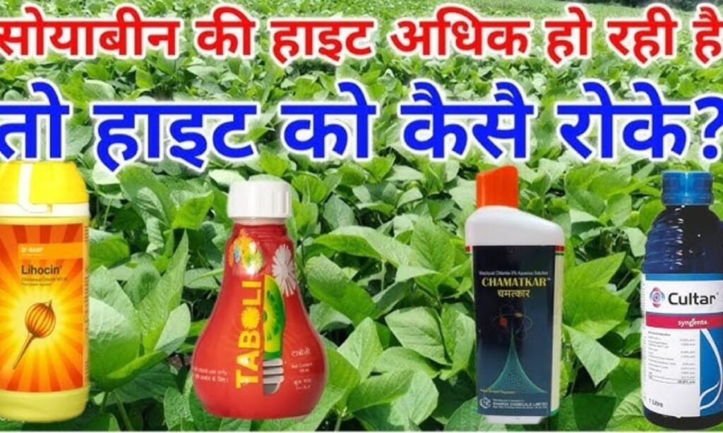 सोयाबीन में PGR का सही उपयोग | कौन-सा PGR, कब, कितनी मात्रा और क्यों