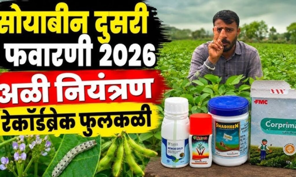 सोयाबीन दुसरी फवारणी | Soyabean dusri favarni | Soyabean second spray