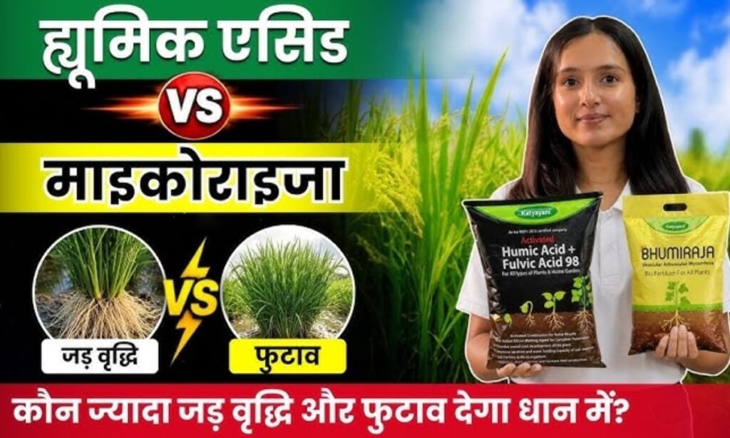 क्यों महंगी दवाओं का रिजल्ट नहीं मिलता है ?| Sabji ki kheti | dhan ki kheti | Humic acid fertilizer