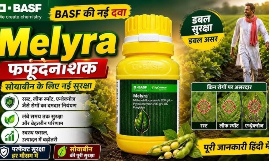 BASF Melrya Fungicide | BASF की नई मेलायर फफूंदनाशक